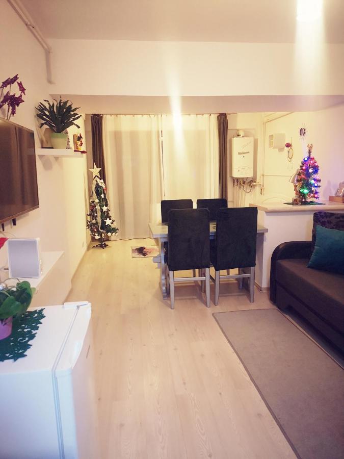 Studio Adela Poiana Brasov Exterior photo